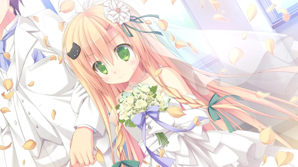 晴菜花 晴霁之后定是菜花盛开的好天气（KRKR＋PC端）