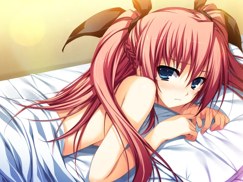 晓之护卫 ～罪孽深重的末世论～（PC端）