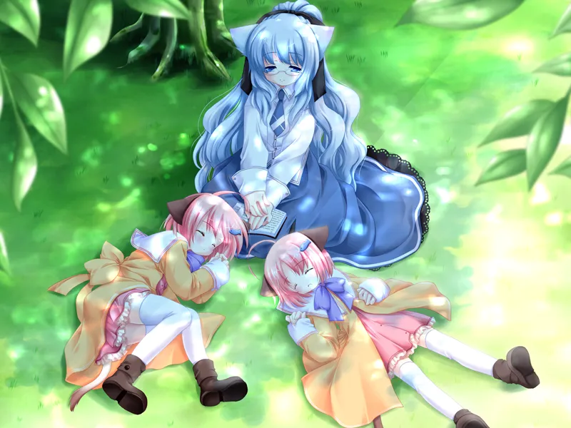 图片[1]-猫猫病院（PC端） | 羽翼社-羽翼社