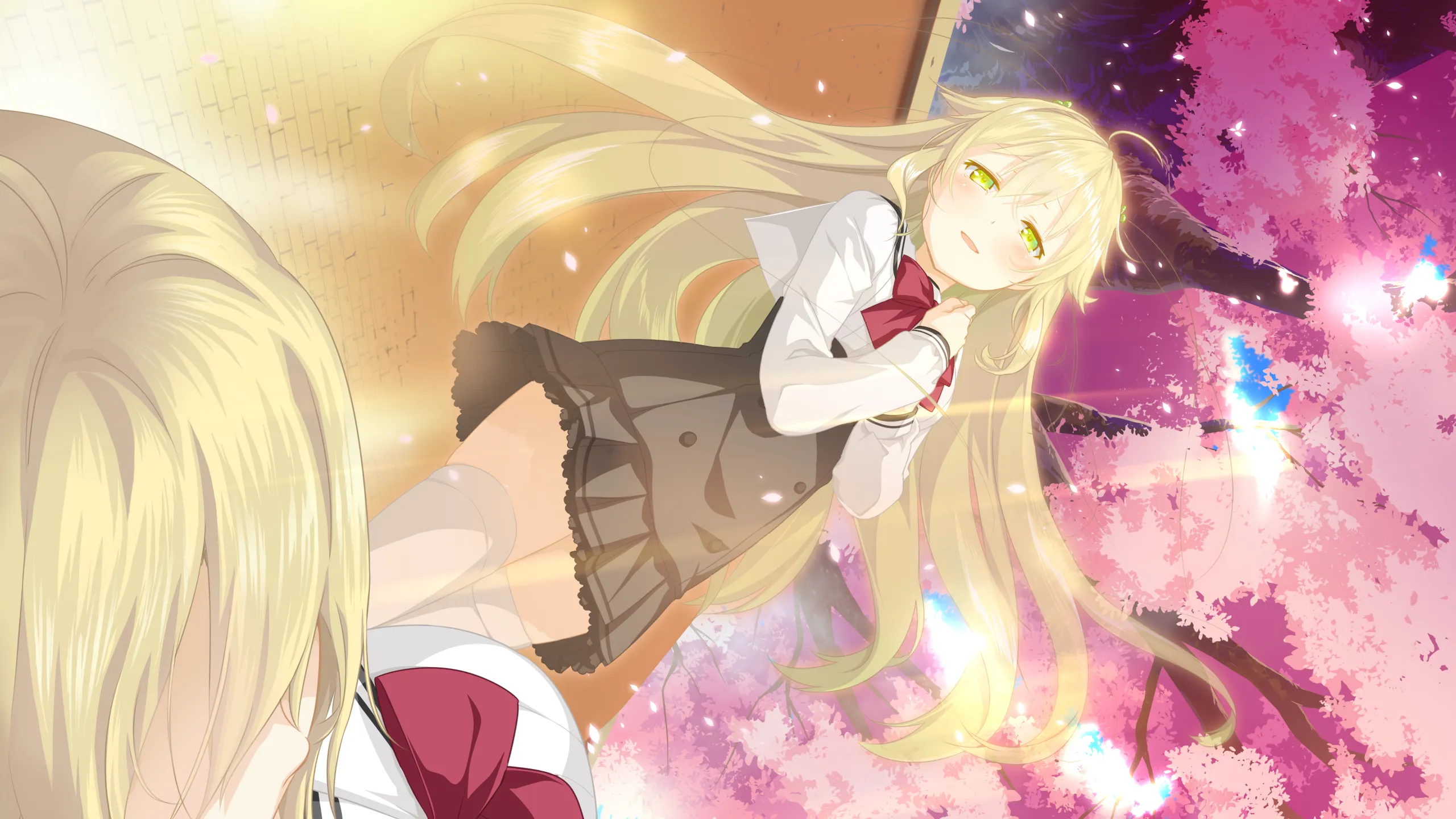 樱花萌放（cg图包）