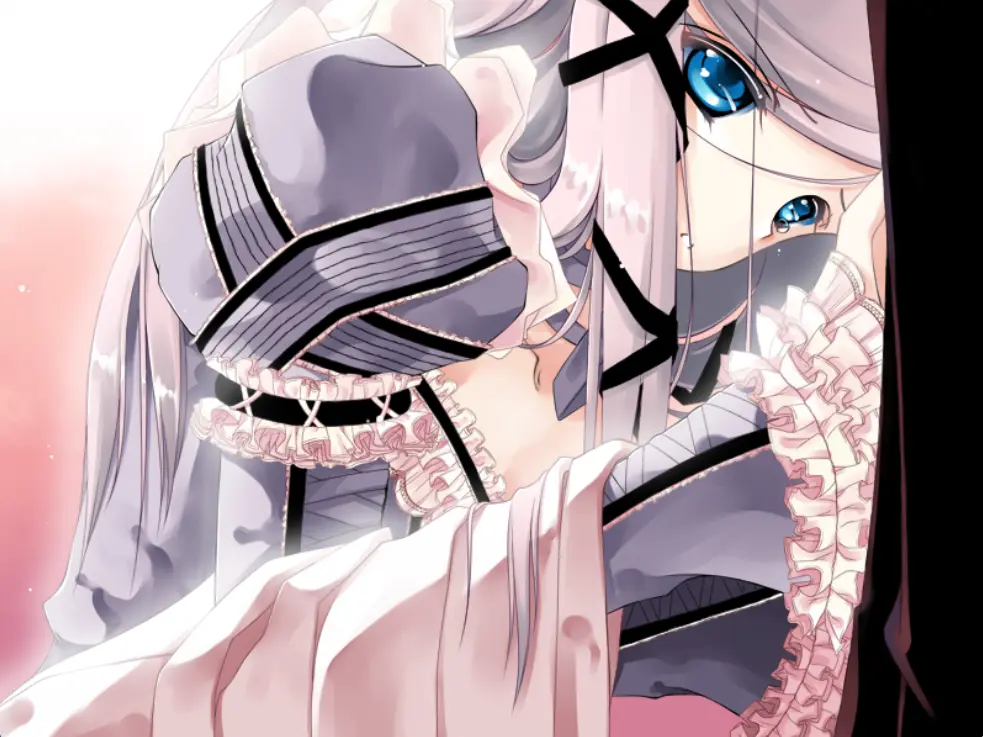 遗忘花园（KRKR＋PC端）