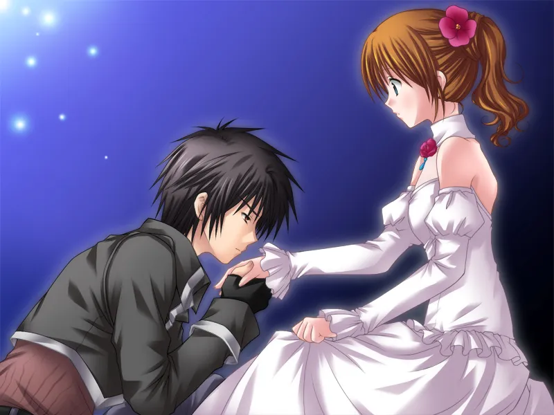 魔王大人的求婚（Ons＋PC端）