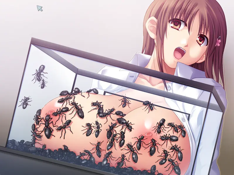 图片[3]-昆虫奸察（PC端） | 羽翼社-羽翼社