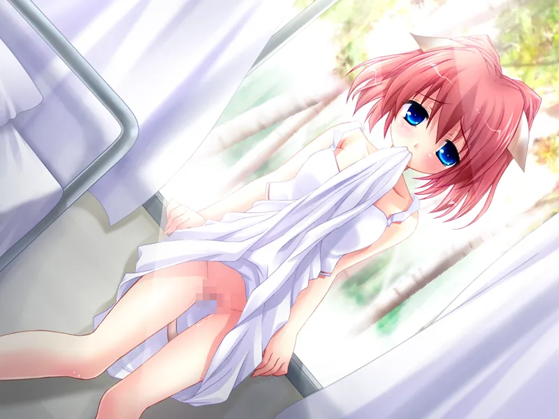 图片[7]-猫猫病院（PC端） | 羽翼社-羽翼社