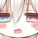 安矢君-翼の会