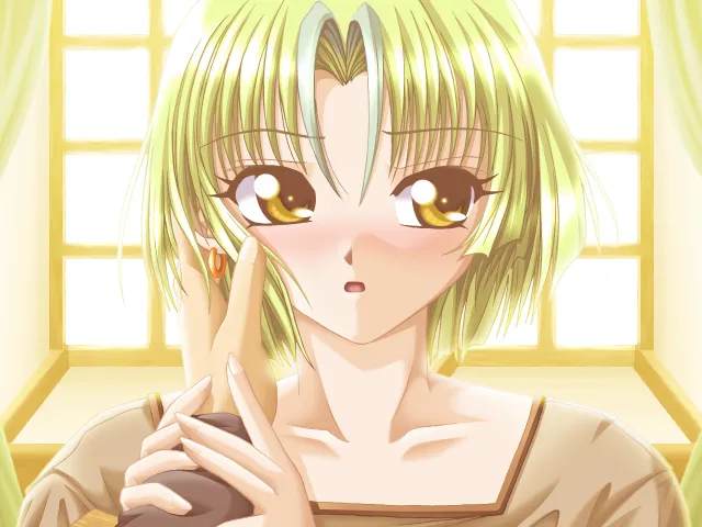 幻燐的姬将军（PC端）