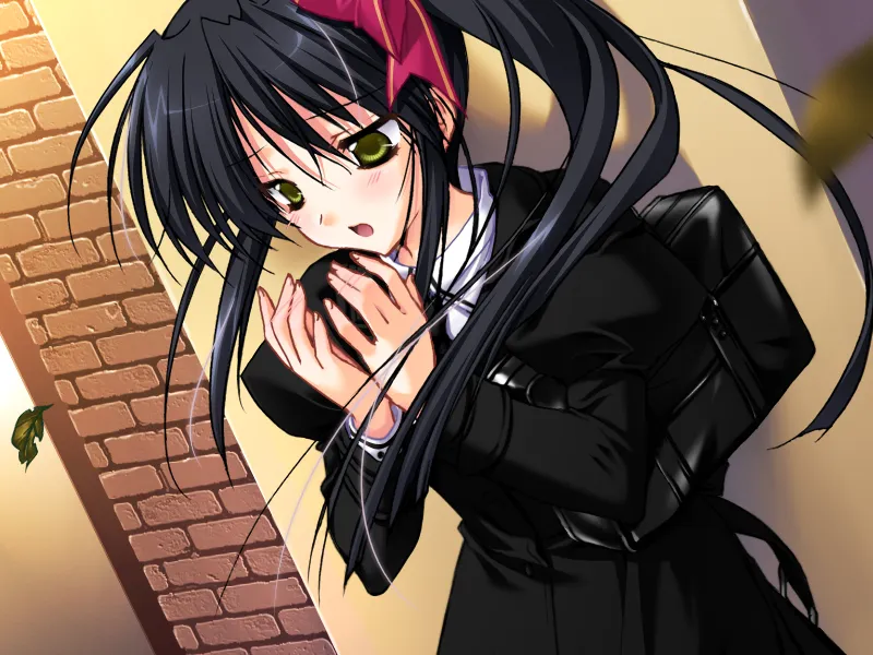 图片[4]-Aster（PC端） | 羽翼社-羽翼社