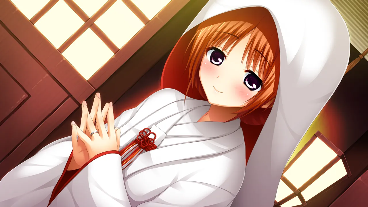 图片[1]-正负战争（KRKR＋PC端） | 羽翼社-羽翼社