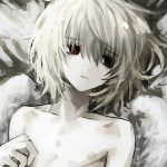 蔬菜牛逼666-翼の会