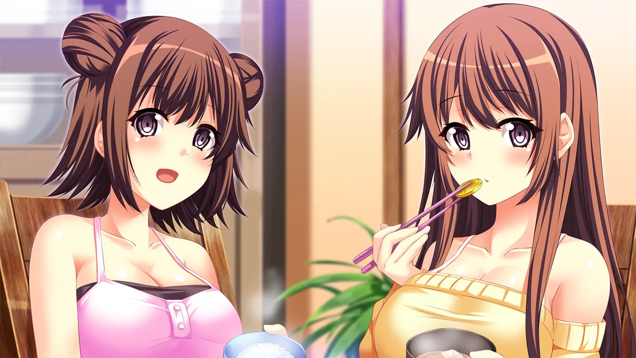 性換姉妹（PC端）