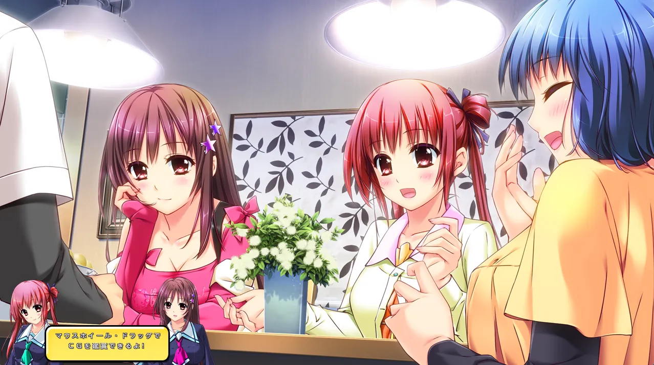 图片[2]-しすたー・すきーむ3 初回限定版（PC端） | 羽翼社-羽翼社