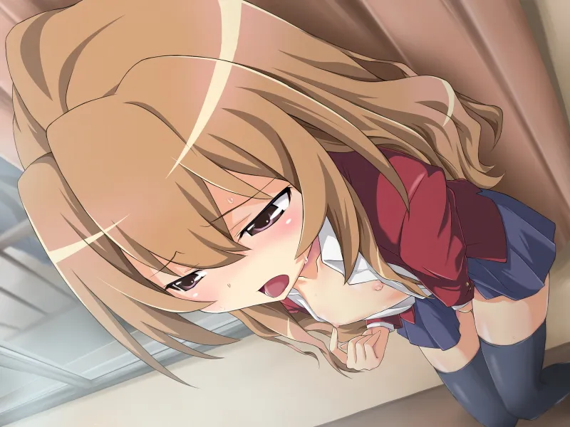 龙与虎同人 とらンス!とらンス！~Toradora（PC端）-羽翼社