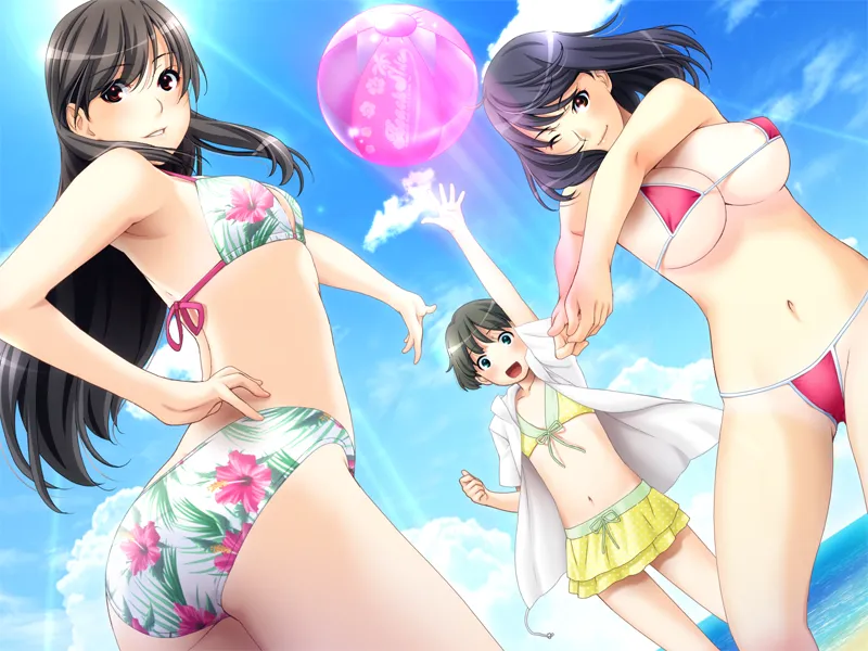 しすたー・すきーむ2 HD＋追加版（PC端）-羽翼社
