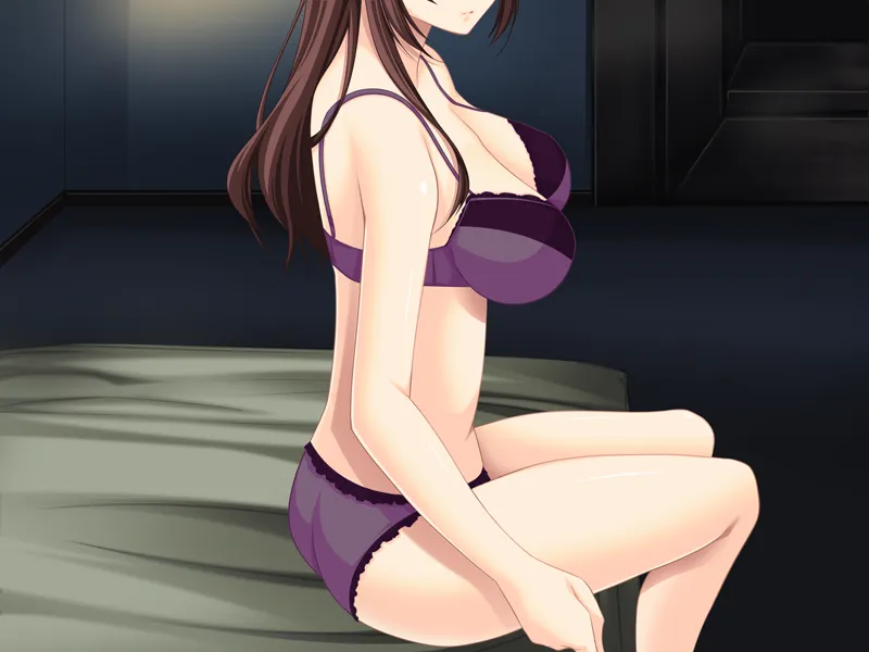 图片[3]-自宅警備員 明るひ家族計画 全て挿入済（PC端） | 羽翼社-羽翼社