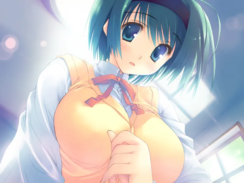 ToHeart2 AnotherDays/心之彼端2 另一天（PC端）-翼の会