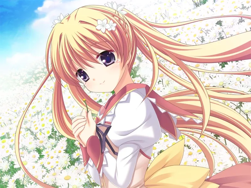 图片[2]-丽特的占卜星-Marguerite Sphere -マーガレット スフィア（KRKR＋PC端） | 羽翼社-羽翼社