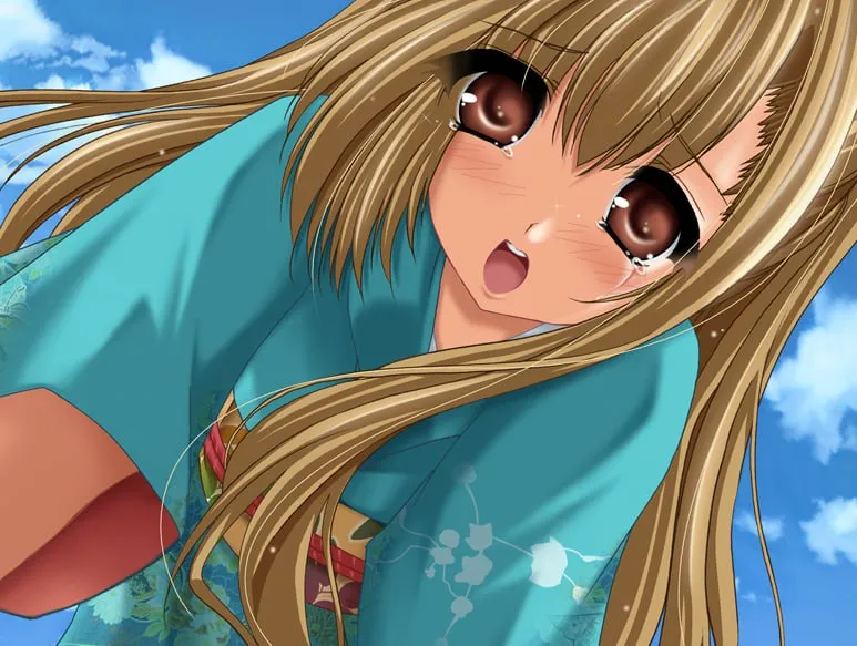 图片[1]-夏之灯火-夏の燈火（PC端） | 羽翼社-羽翼社