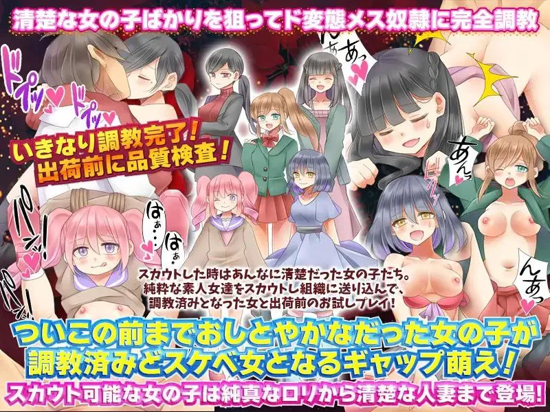 性奴○スカウトマンv1.0 / 性奴隶侦察v1.0（安卓直装＋PC端）