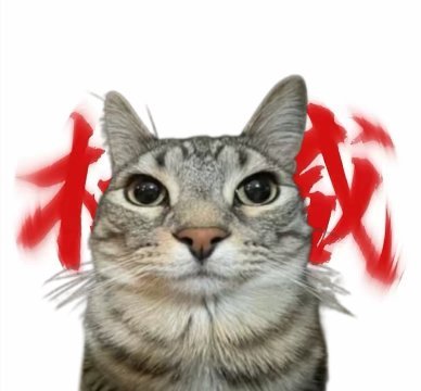 叶湘伦的头像-羽翼社